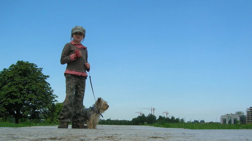 image11