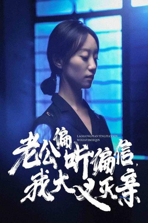 老公偏听偏信，我大义灭亲电影海报