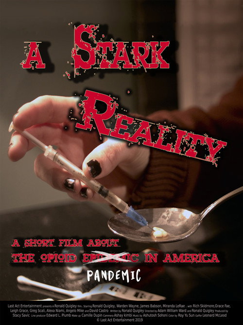 A Stark Reality poster 2