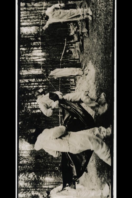 Documenting The War