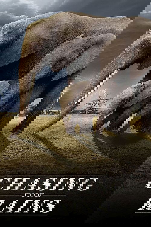 Poster of Chasing the Rains