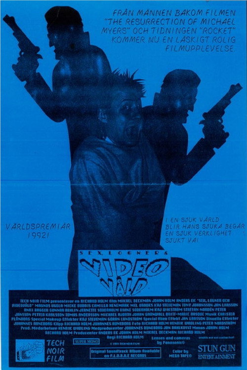 Sex, Lies and Video Violence poster 2