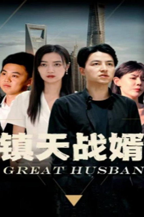 镇天战婿电影海报