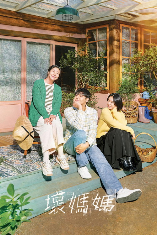 坏妈妈电影海报