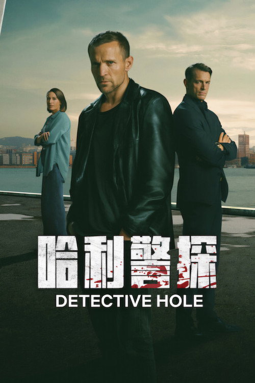 哈利警探电影海报