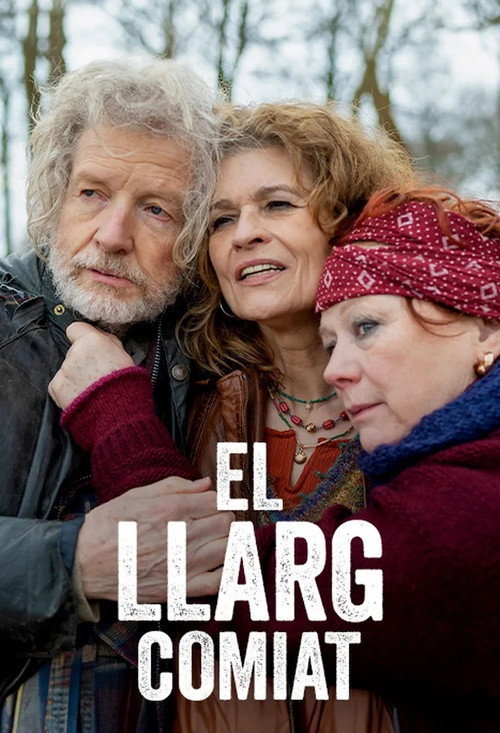 Der lange Abschied - Der Usedom-Krimi poster 2