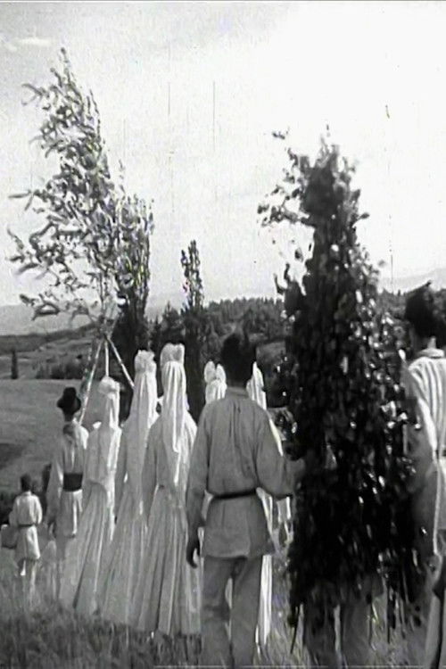 Springtime in White Carniola