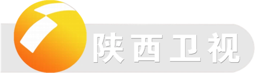 Shaanxi Television