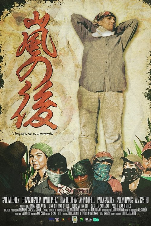 Después de la tormenta... poster