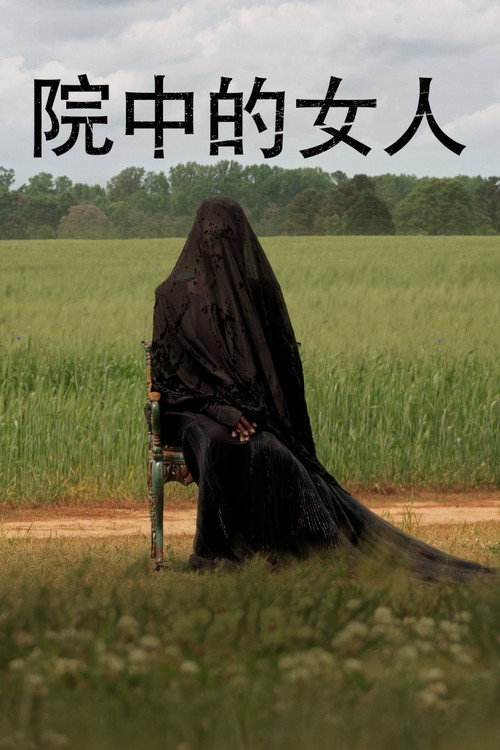 院子里的女人电影海报