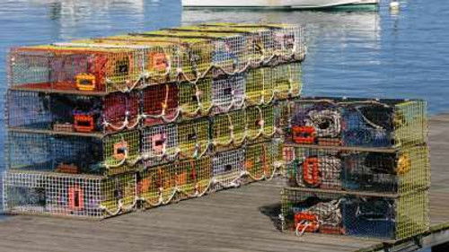 Lobsters, Chesterfield Sofas, 4K Television