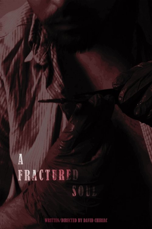 A Fractured Soul Poster
