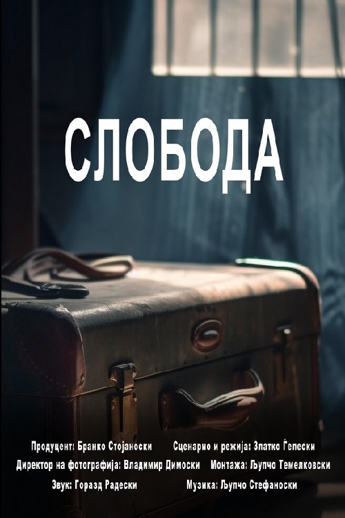 Freedom Poster
