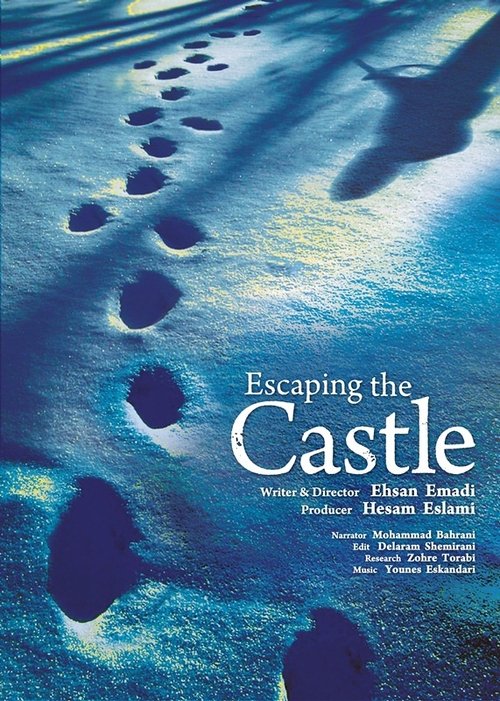 Escaping the Castle Poster