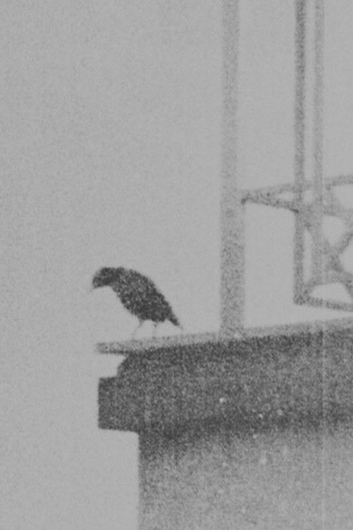 Ghazal no 884 By Bidel