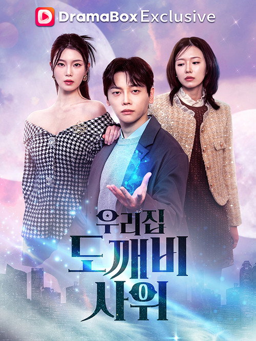 우리집 도깨비 사위电影海报