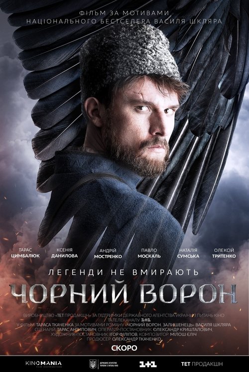 Чорний ворон poster