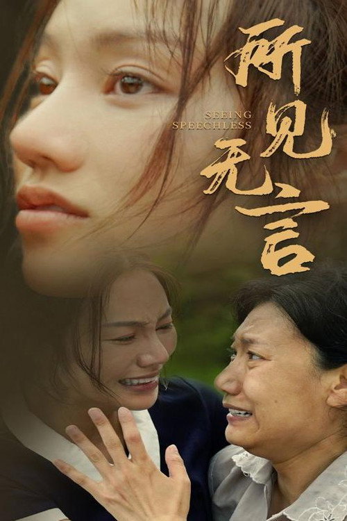 所见无言电影海报
