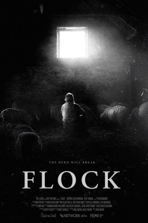 Flock poster 6