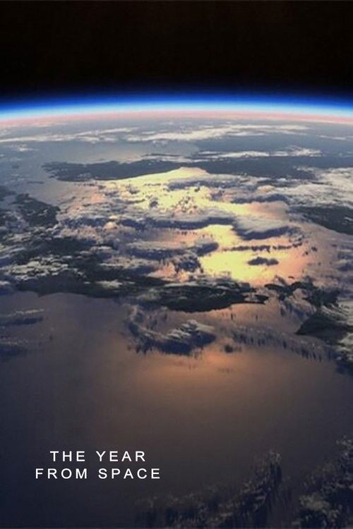 The Year from Space