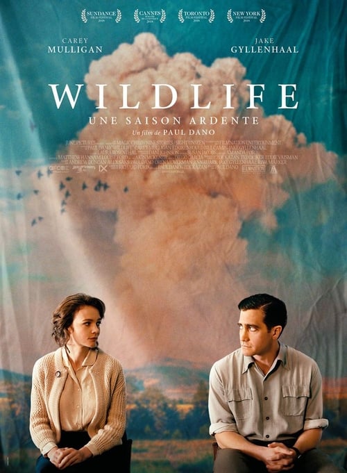 Movie image Wildlife - Une saison ardente 