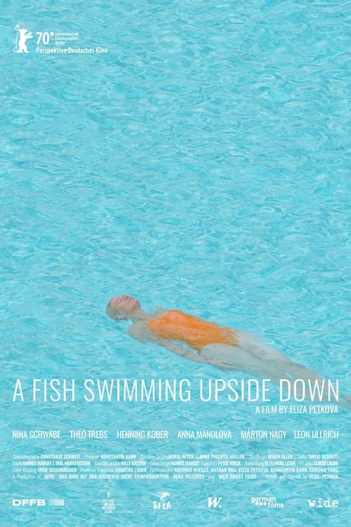 A+Fish+Swimming+Upside+Down