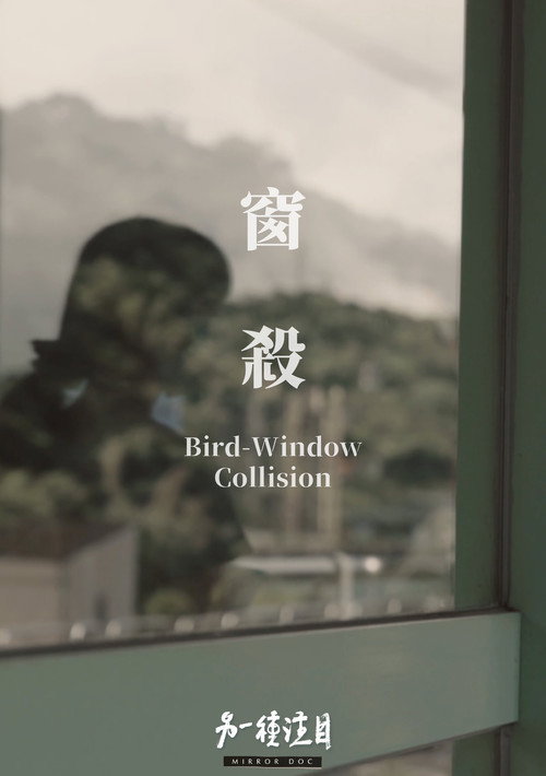 Bird-Window Collisions poster 2