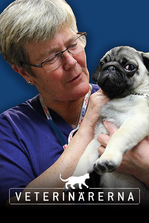 Veterin&auml;rerna电影海报