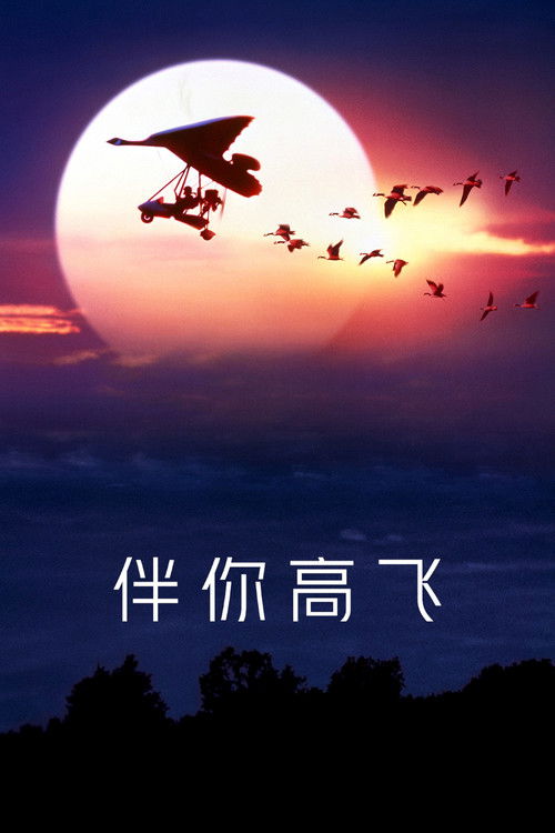 伴你高飞电影海报