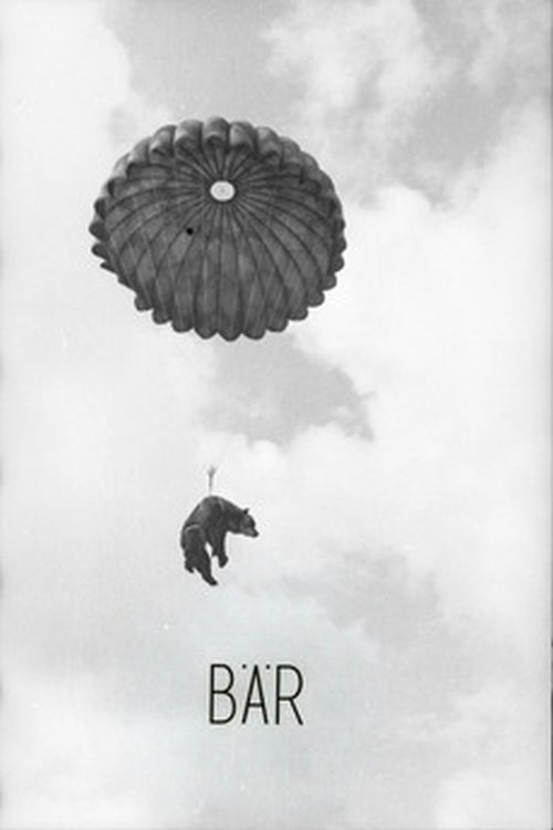 Bär poster