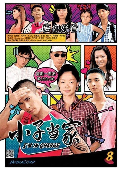 小子当家电影海报