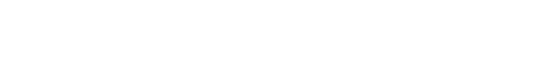 BLUE VAN Logo