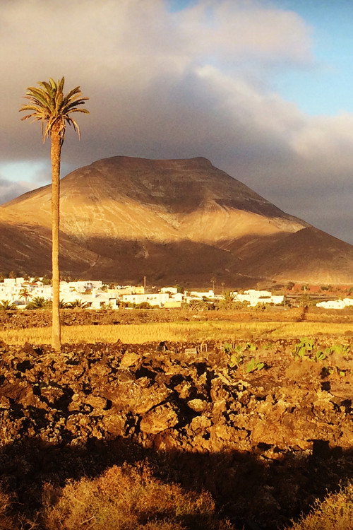 In the Shadows of Volcanoes电影海报
