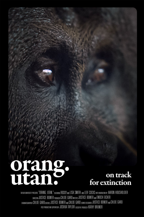 Orang. Utan.