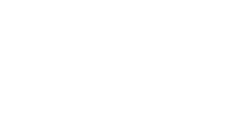 BRUCE LEE Logo