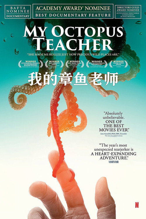 我的章鱼老师电影海报