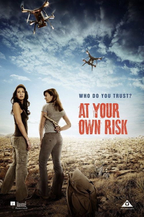 At Your Own Risk poster 3