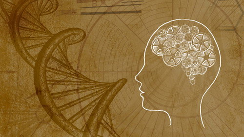 Conscious Evolution