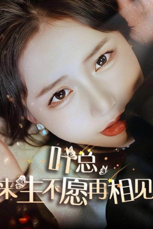 叶总，来生不愿再相见电影海报