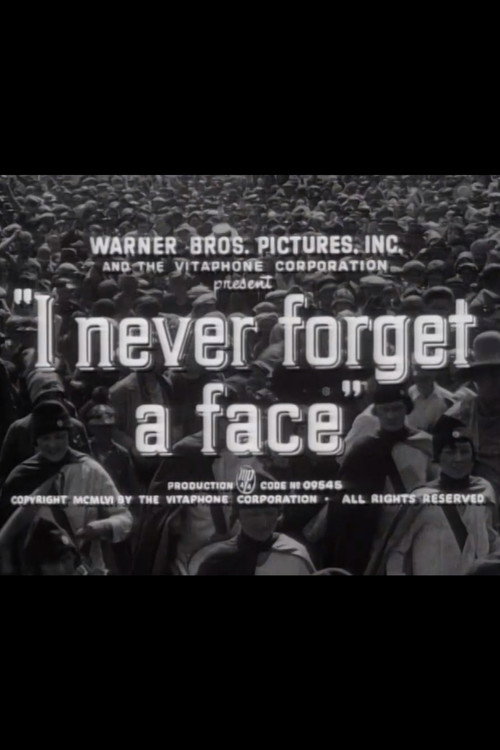 I Never Forget a Face poster 2