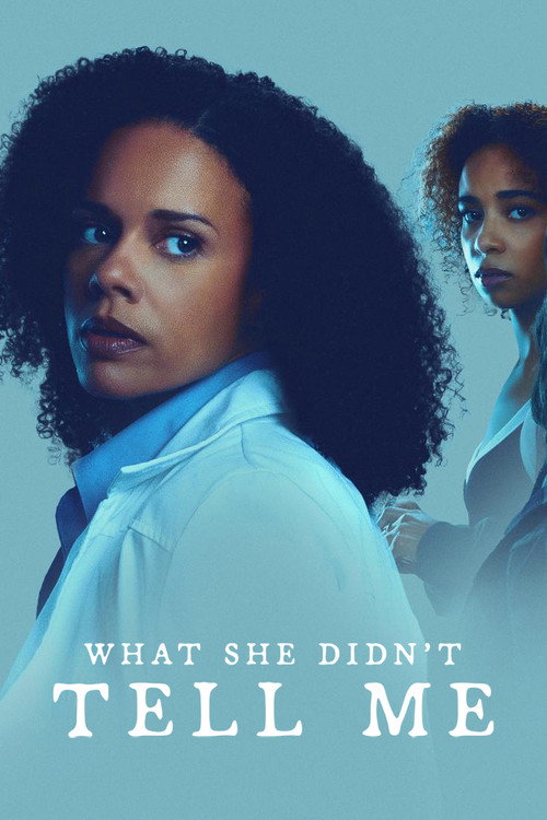 What She Didn't Tell Me Poster