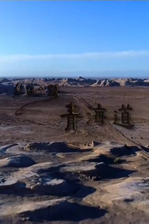 丝绸之路青海道海报