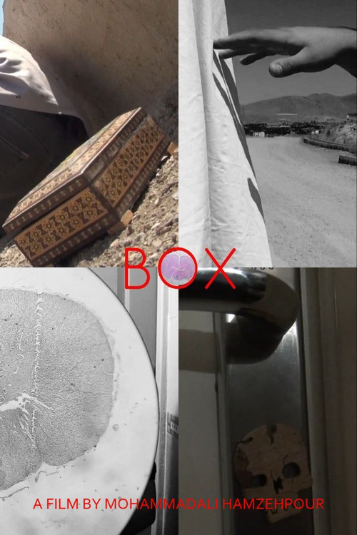 Box