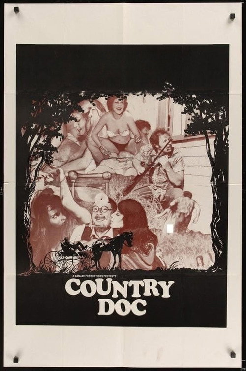 Country Doc poster 3