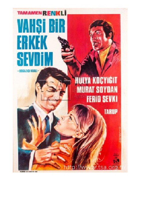Vahşi Bir Erkek Sevdim poster 4