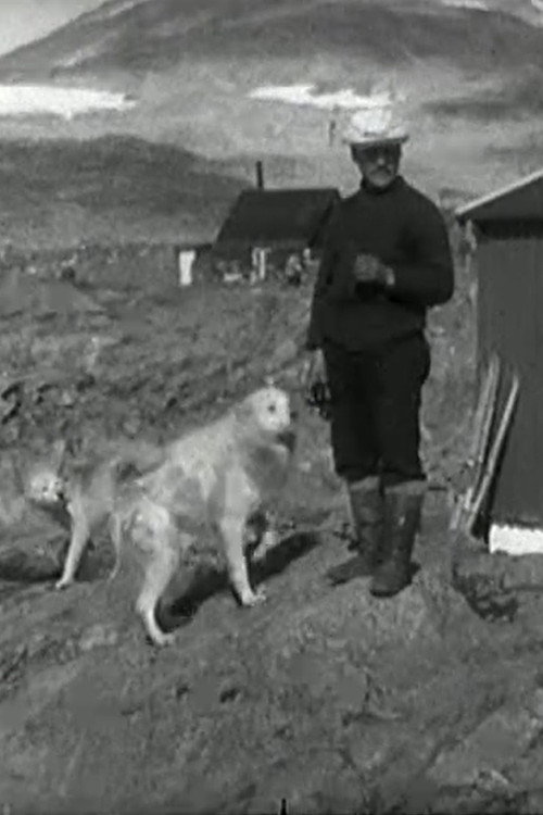 Gr&oslash;nlandsfilmen海报
