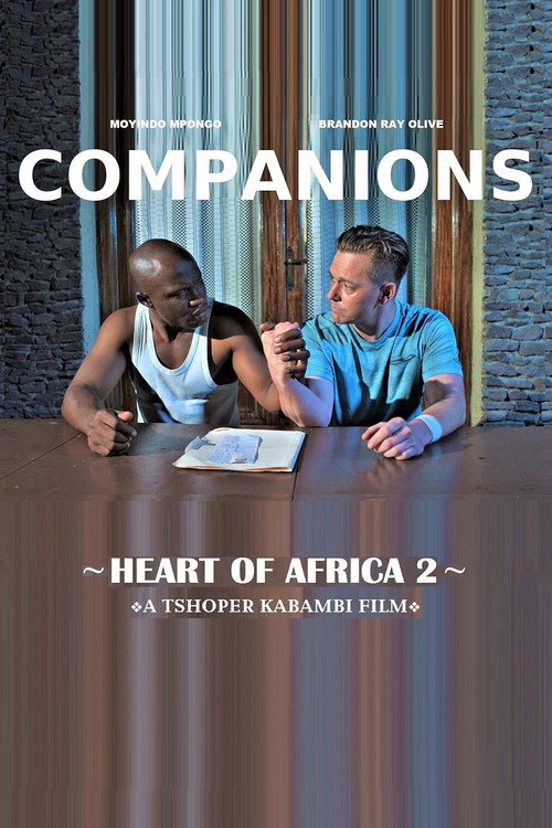 Heart of Africa 2: Companions poster 2