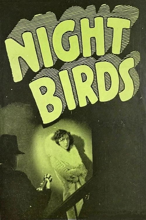 Night Birds