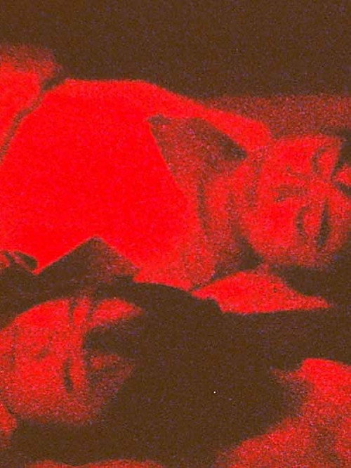 ＧＡＲＮＥＴ电影海报