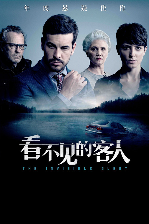 看不见的客人电影海报